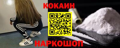 индика Рыбинск
