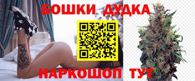 индика Рыбинск