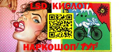 индика Рыбинск