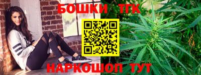 индика Рыбинск