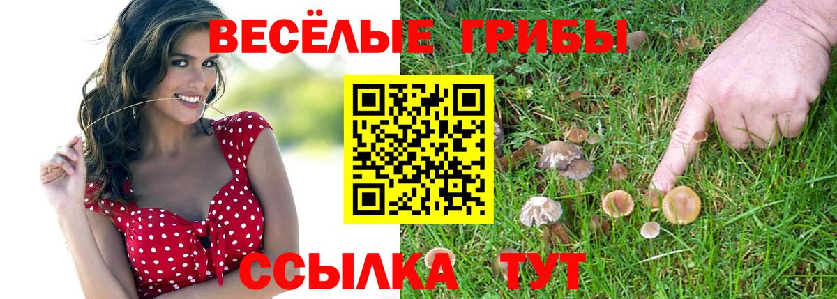 Псилоцибиновые грибы Psilocybe Сатка